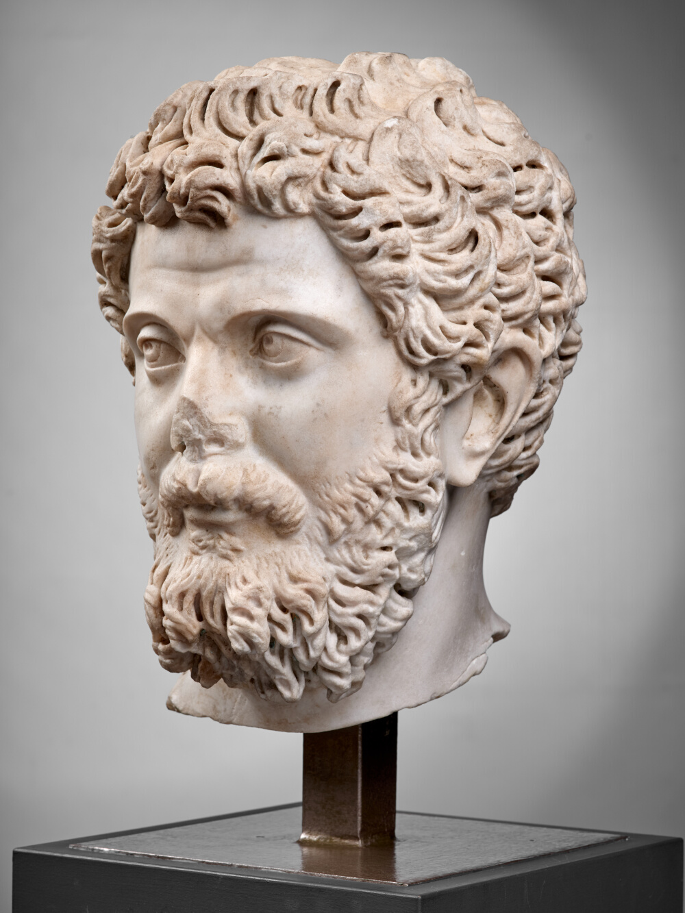 Tête de Septime Sévère