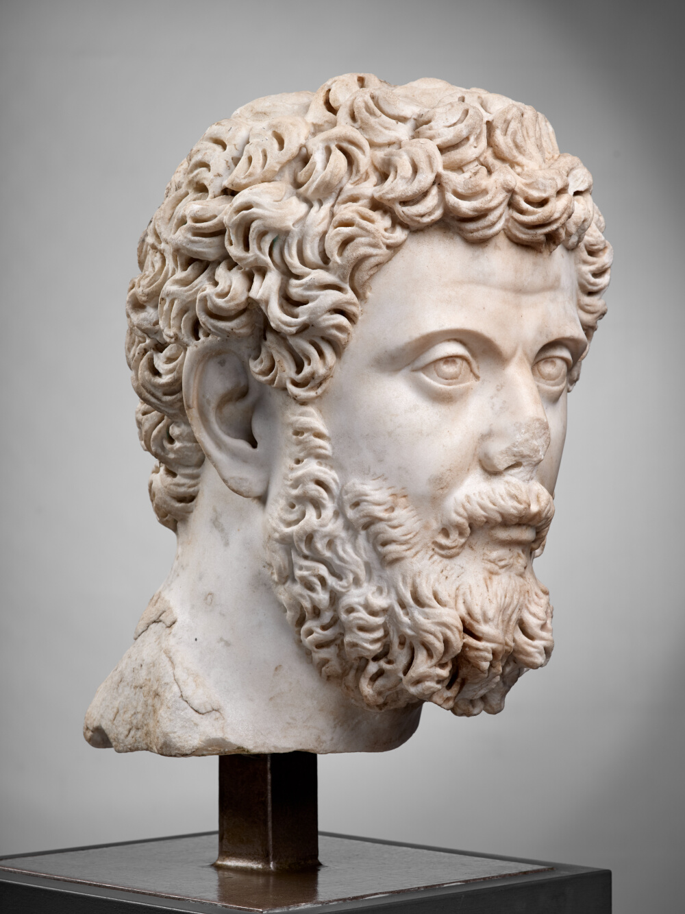 Tête de Septime Sévère