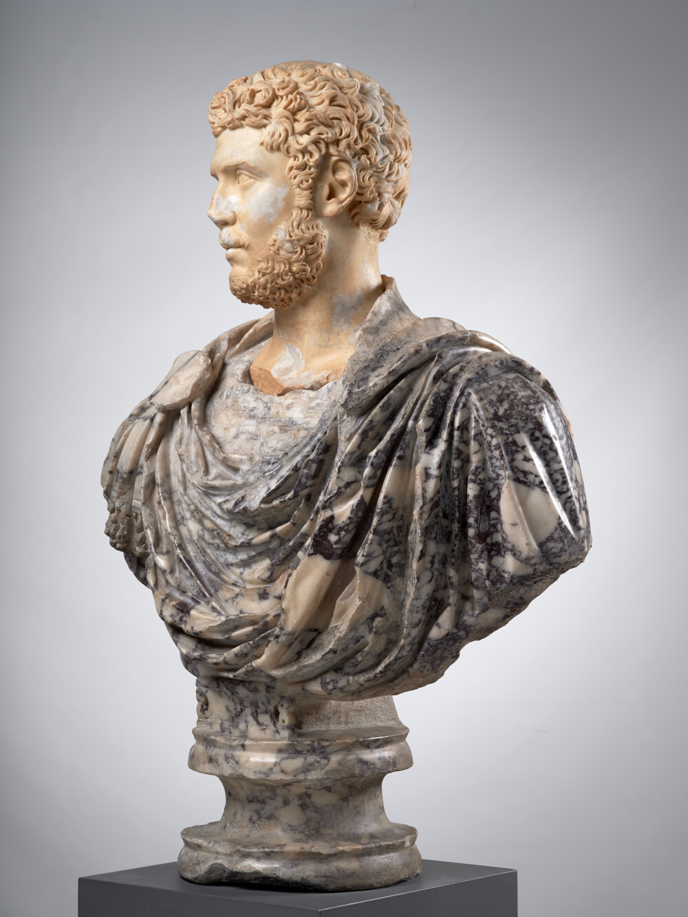 Tête d’homme, aujourd’hui montée sur un buste en pavonazzetto