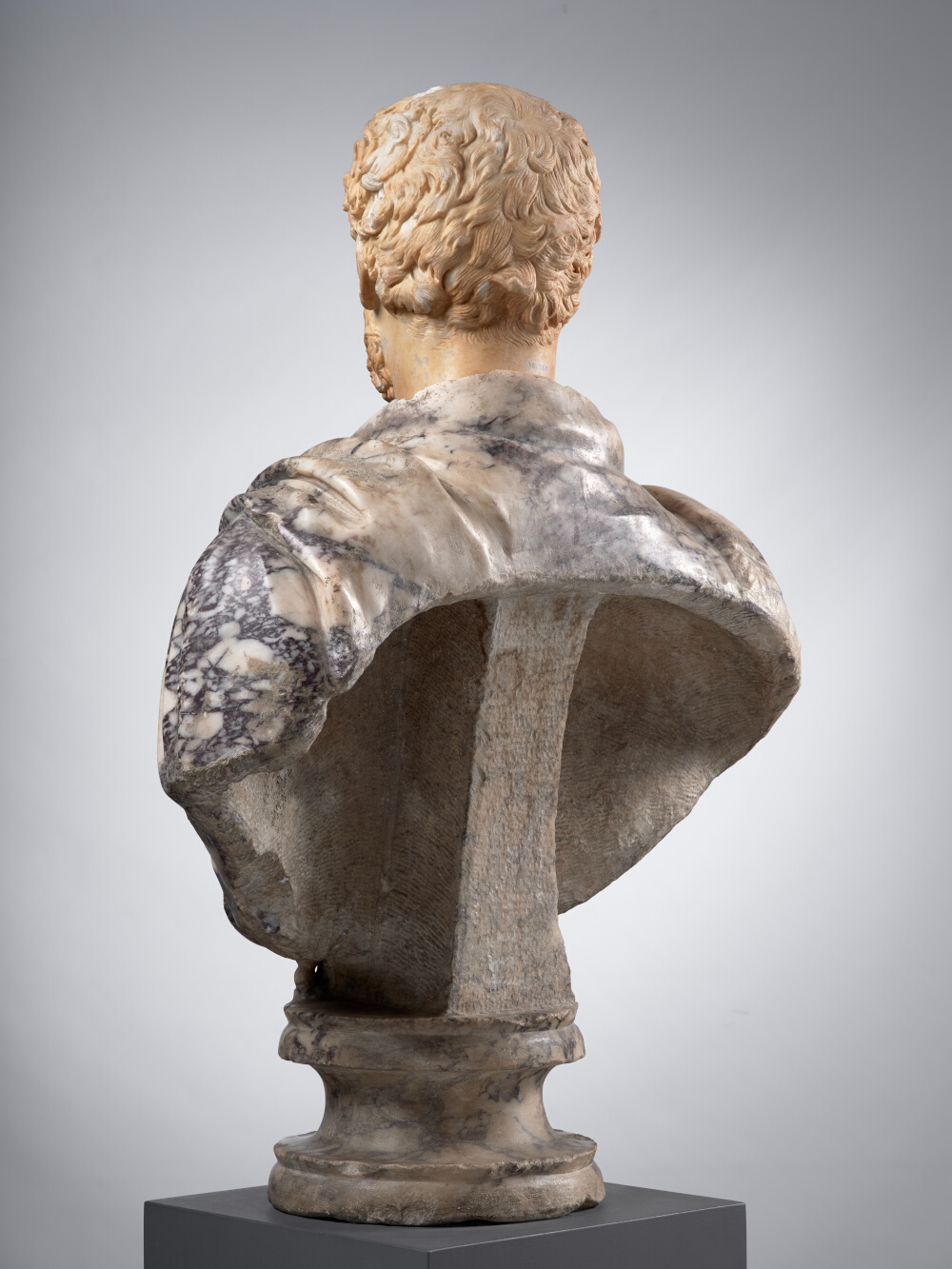 Tête d’homme, aujourd’hui montée sur un buste en pavonazzetto