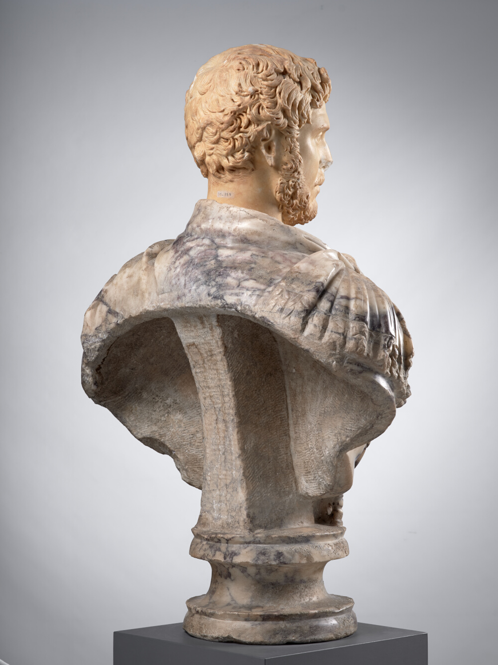 Tête d’homme, aujourd’hui montée sur un buste en pavonazzetto