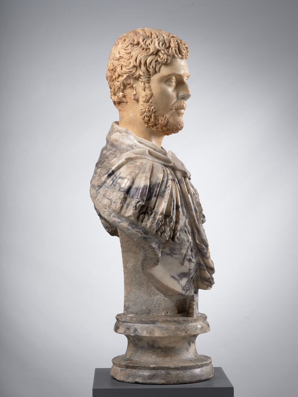 Tête d’homme, aujourd’hui montée sur un buste en pavonazzetto