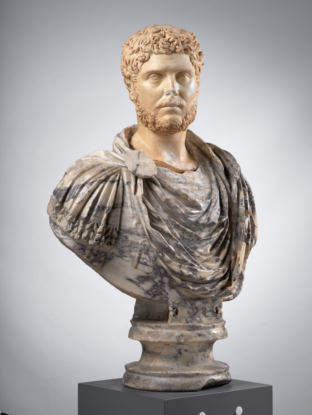 Tête d’homme, aujourd’hui montée sur un buste en pavonazzetto