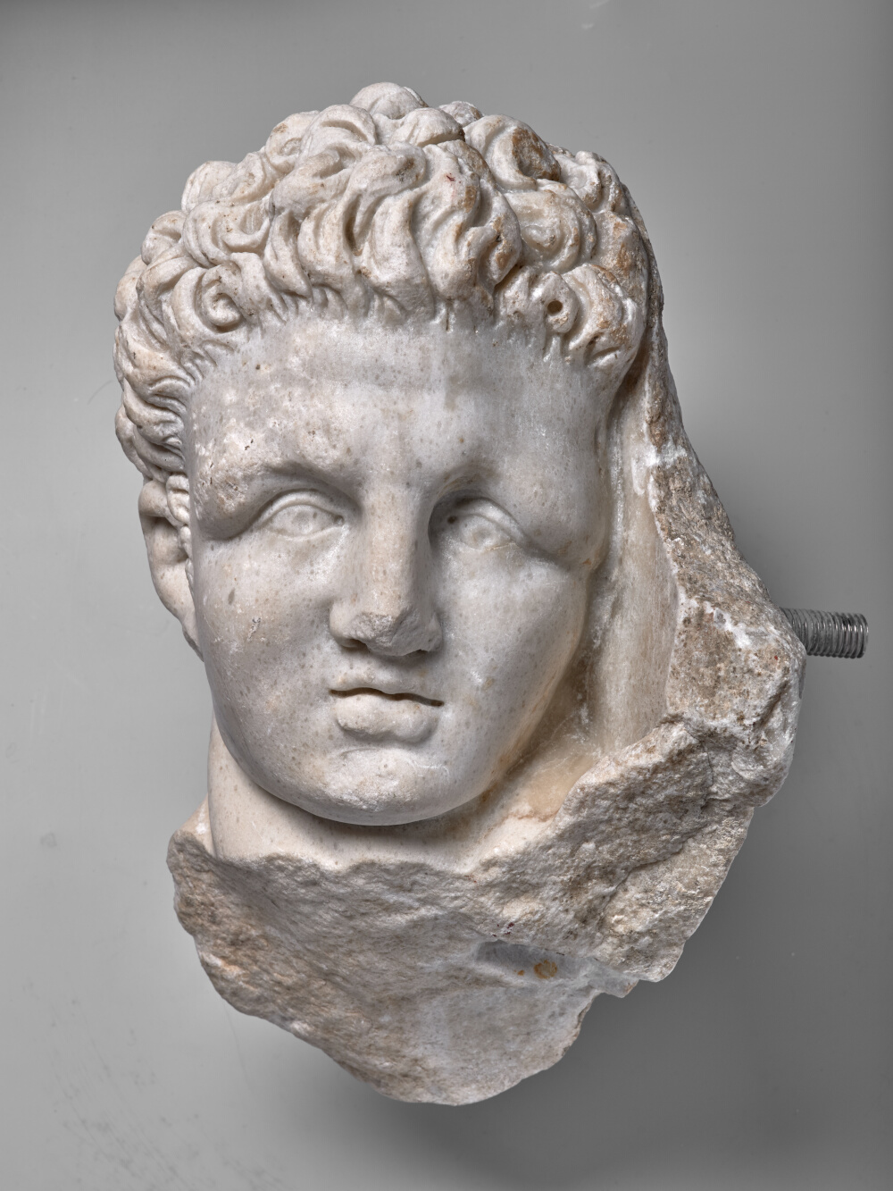 Tête nue d’Hercule