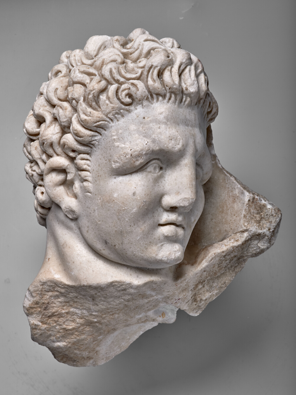 Tête nue d’Hercule