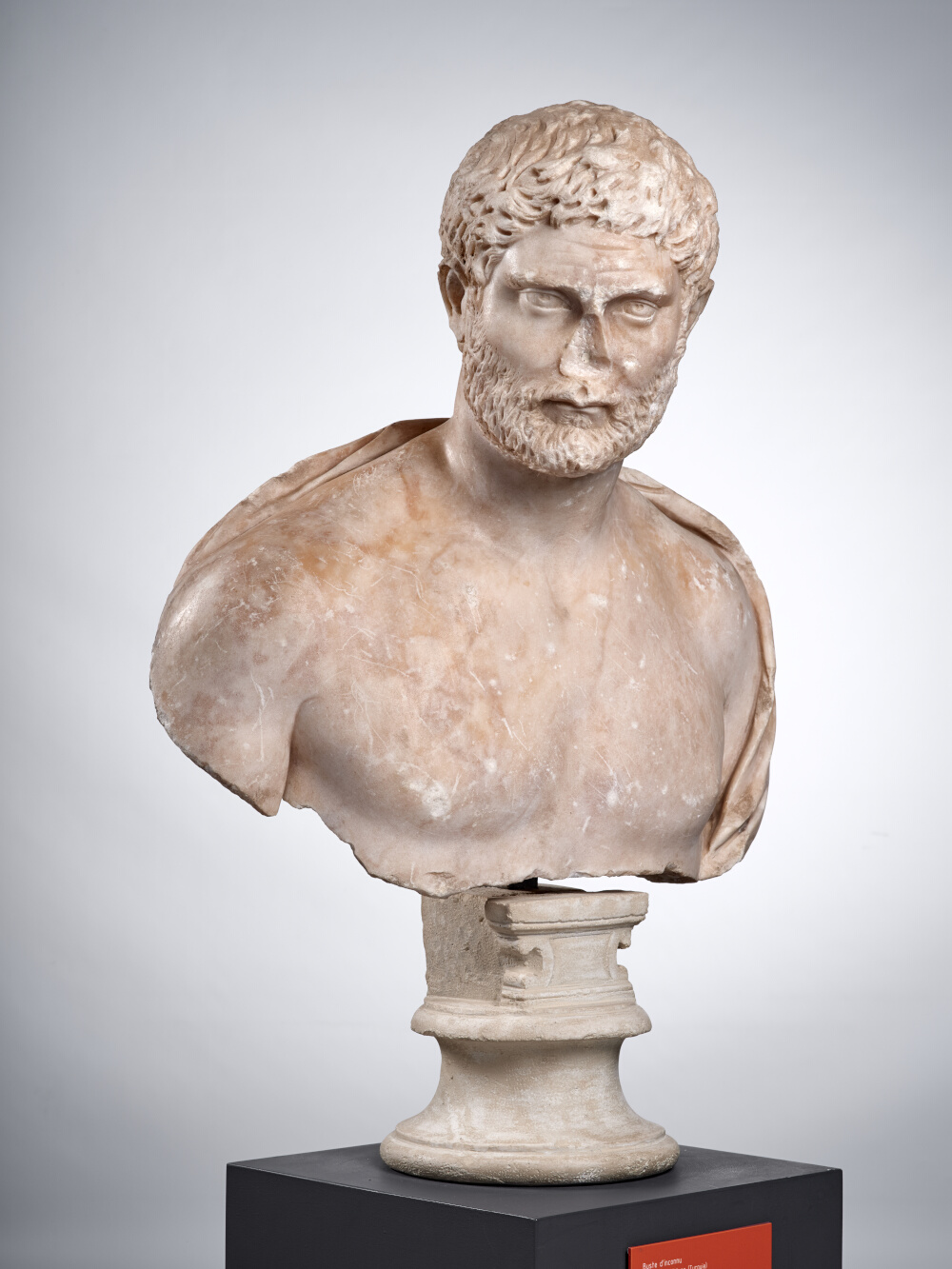 Buste d’un intellectuel (?)