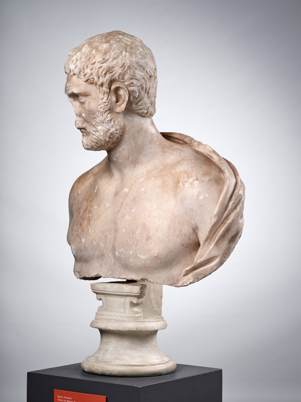 Buste d’un intellectuel (?)