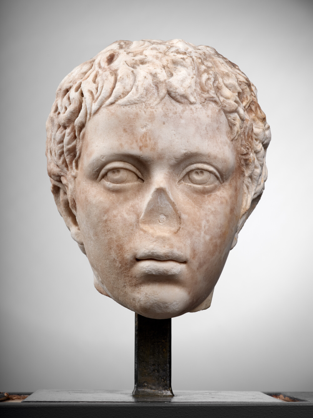 Tête de jeune garçon (C. Fulvius Plautus Hortensianus ?)