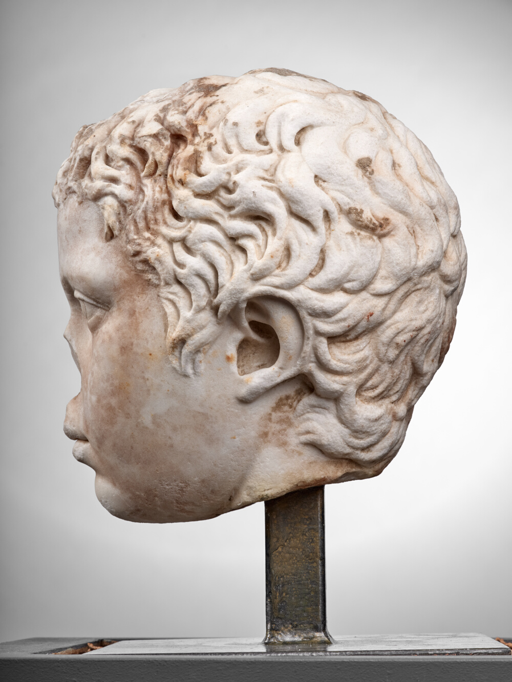 Tête de jeune garçon (C. Fulvius Plautus Hortensianus ?)