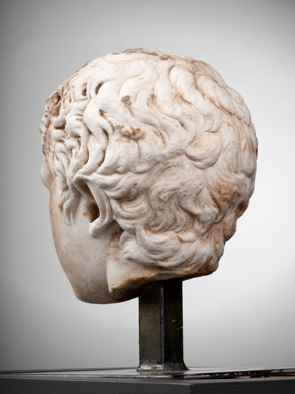 Tête de jeune garçon (C. Fulvius Plautus Hortensianus ?)