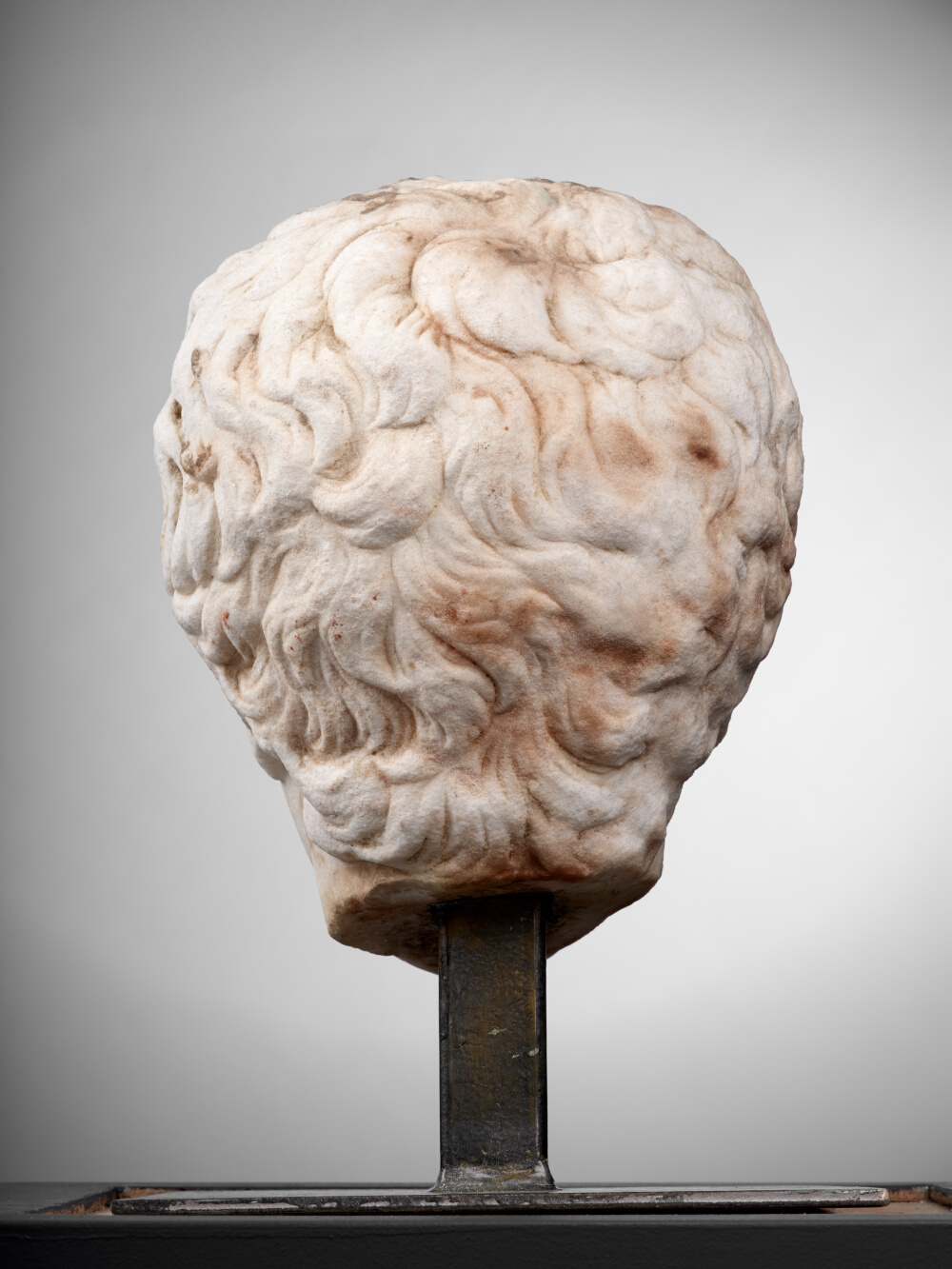 Tête de jeune garçon (C. Fulvius Plautus Hortensianus ?)