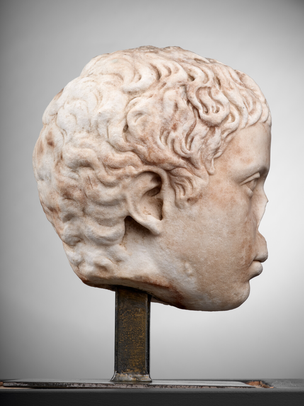 Tête de jeune garçon (C. Fulvius Plautus Hortensianus ?)