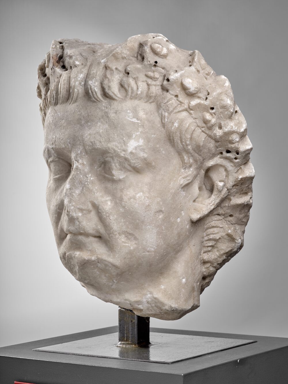 Tête de Tibère couronné de chêne