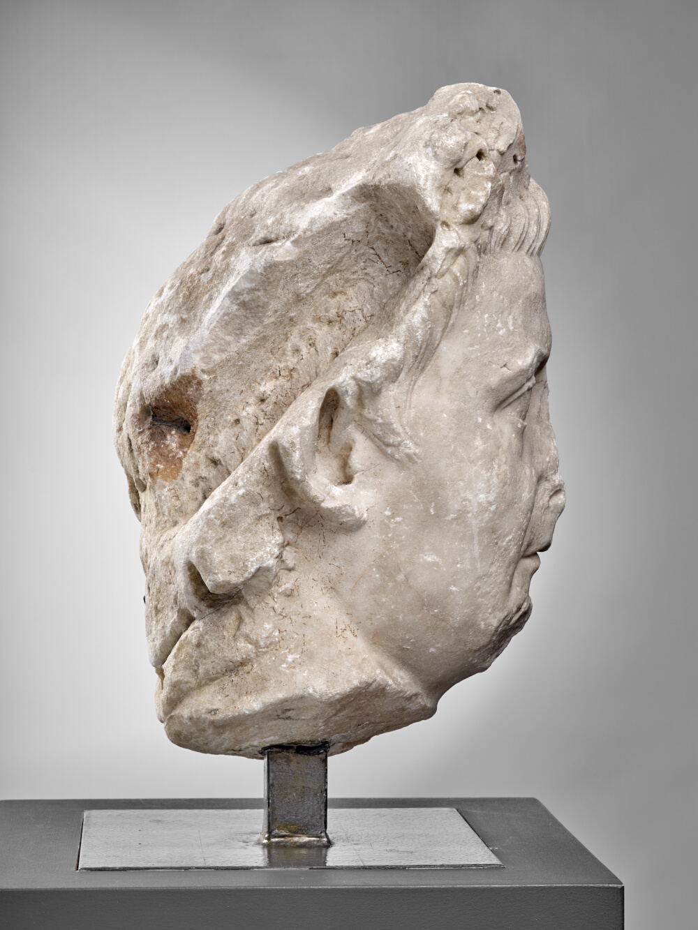 Tête de Tibère couronné de chêne